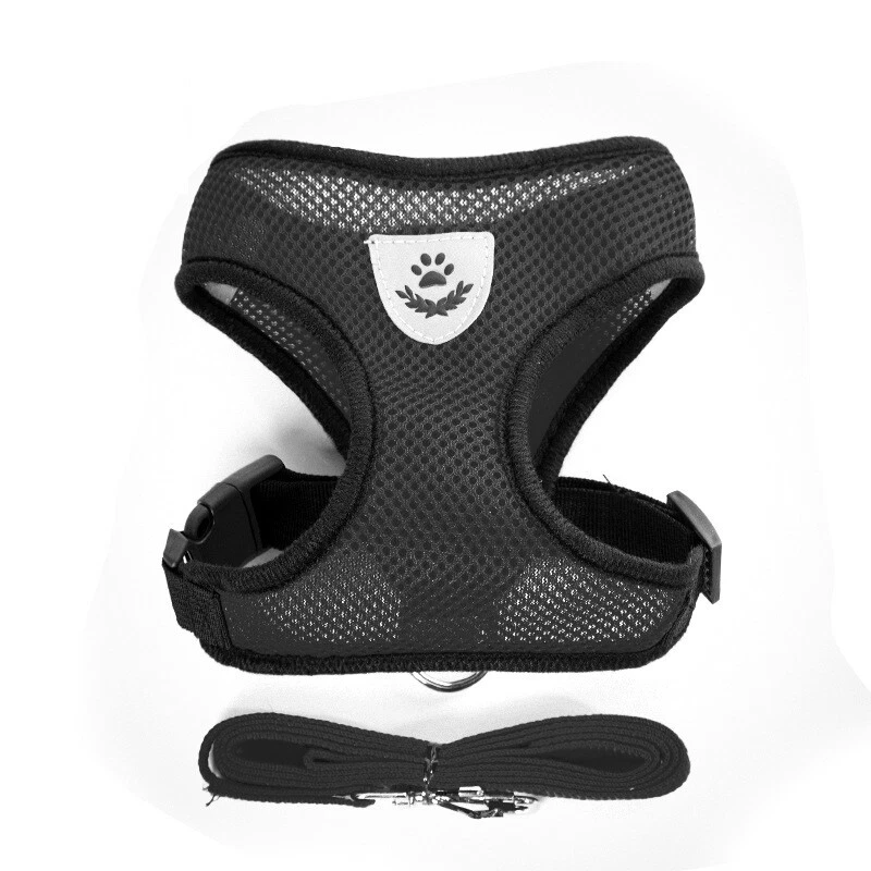 Arnés de Malla con Correa