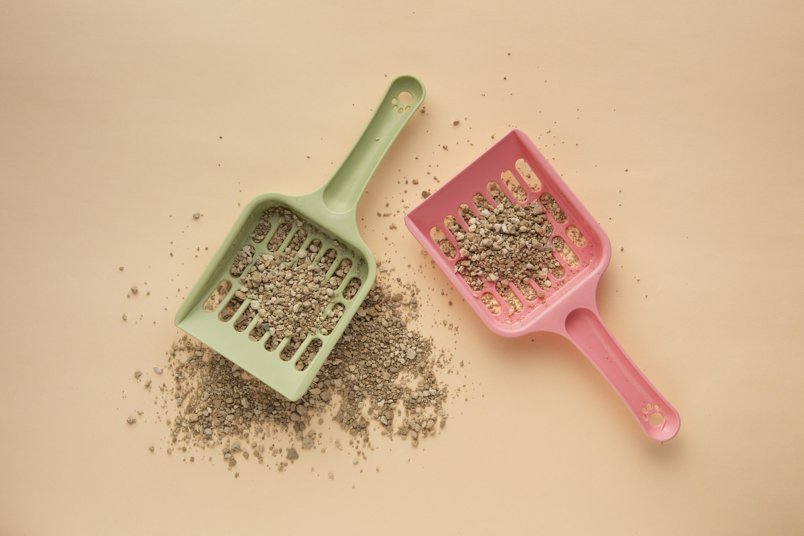 ¿Cada cuánto cambiar la arena sanitaria de tu gato? Consejos prácticos