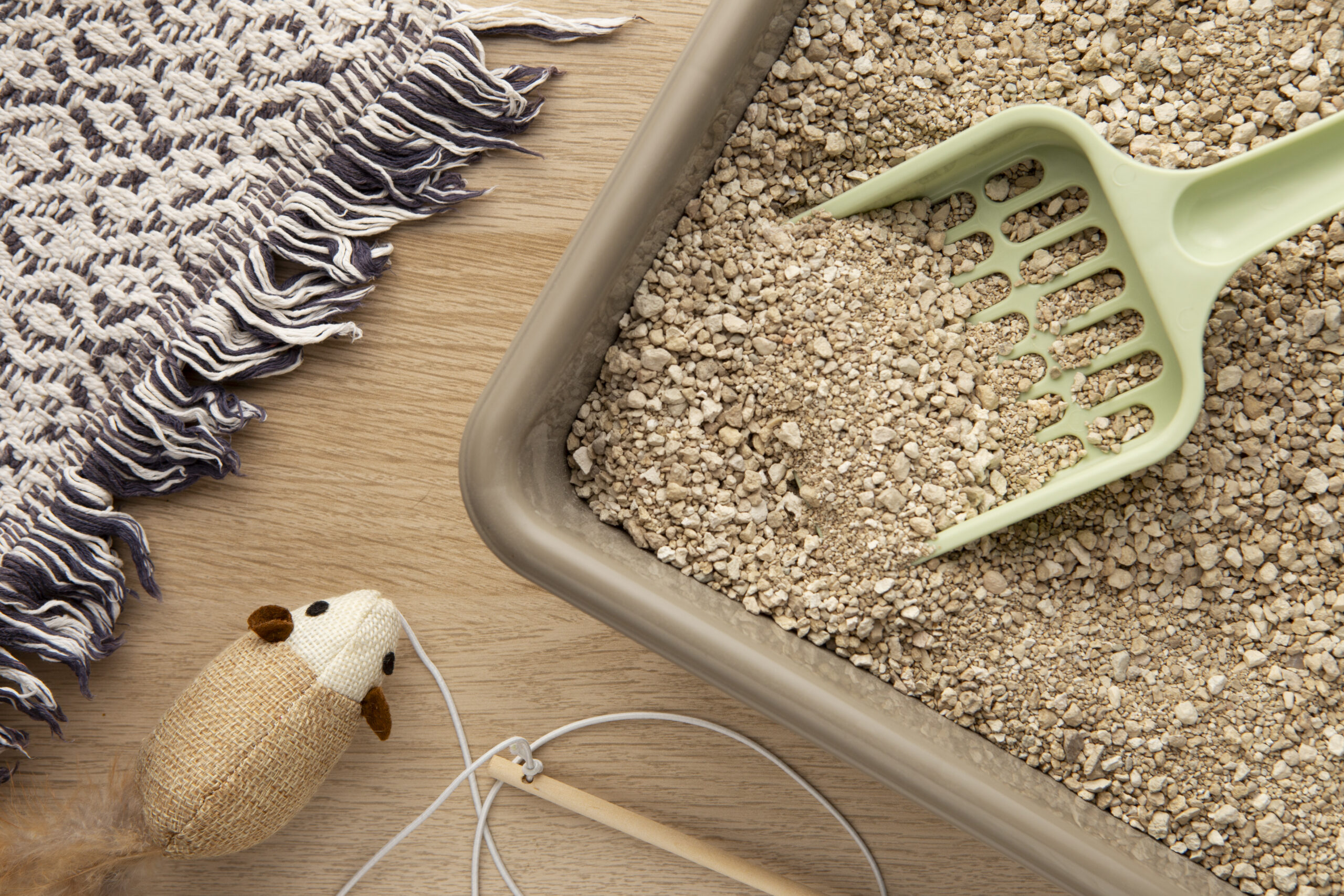 Arena Sanitaria para Gatos: ¿Cuál es la mejor opción para tu hogar?