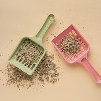 ¿Cada cuánto cambiar la arena sanitaria de tu gato? Consejos prácticos